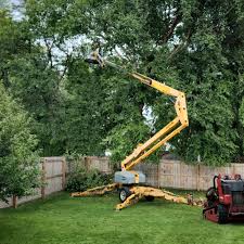 Best Tree Mulching  in Oxnard, CA